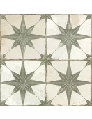 APS11478 FS Star Sage 45 x 45 CM White/Green