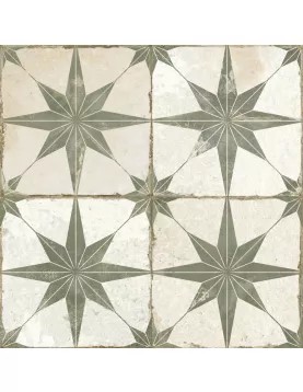 APS11478 FS Star Sage 45 x 45 CM White/Green