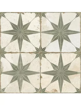 APS11478 FS Star Sage 45 x 45 CM White/Green