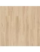 APS12389 Blackjack Oak Beige