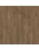 APS12398 Laurel Oak Brown