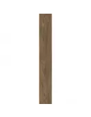 APS12398 Laurel Oak Brown