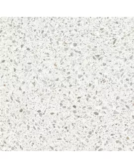 APS12418 Roots Lugano 46910 White