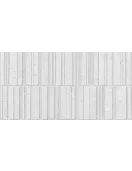 APS12920 Deco Sassi Blanco 32x62,5 Grey