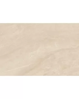 APS12989 Erebor 60x90x2 Beige Matt R11 Beige