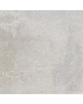 APS12991 Eternal 60x60x2 Grey Matt R11 Gray