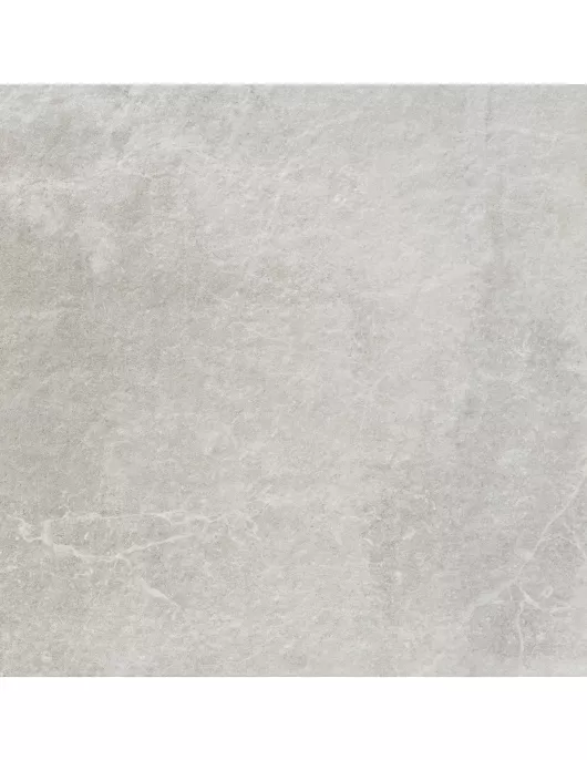 APS12991 Eternal 60x60x2 Grey Matt R11 Gray