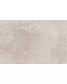 APS12993 Eternal 60x90x2 Grey Matt R11 Gray