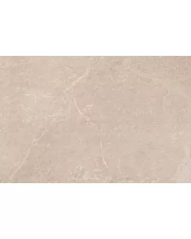 APS12994 Eternal 60x90x2 Stone Matt R11 Stone