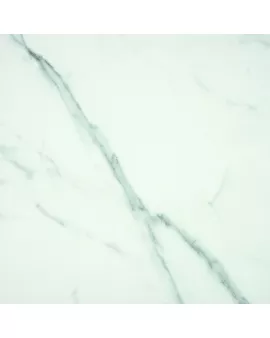 APS13004 Kinsale 60x60x2 White Matt R11 White