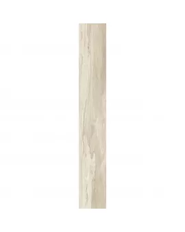 APS13111 Marsh Wood 22248 Wood