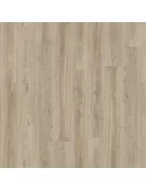 APS13114 Blackjack Oak 22246 Wood
