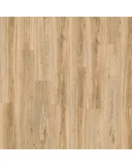 APS13117 Blackjack Oak 22220 Wood