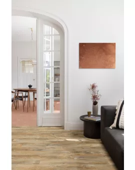 APS13132 Country Oak 24918 Wood