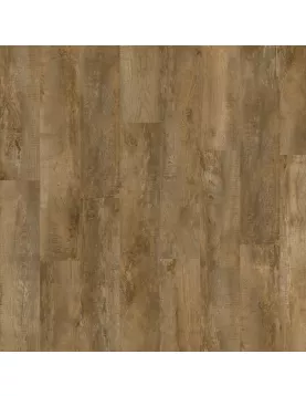 APS13133 Country Oak 24842 Wood