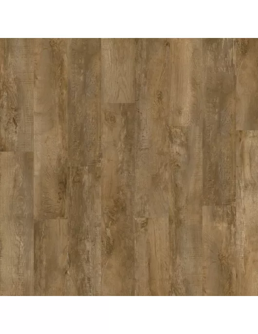 APS13133 Country Oak 24842 Wood