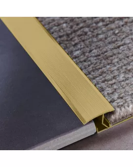 APS17360 THRESHOLD STRIP GOLD Gold