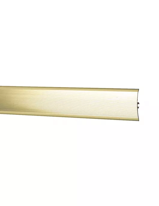 APS17838 DOORWAY STRIP GOLD TOP ONLY 