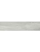 APS3342 Hayedo gris 23x100cm Grey