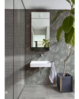 APS3364 Ironstone Argento 30x60cm Rett Grey