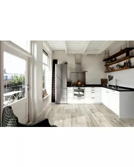 APS3369 Woodmainia Ivory 20x120cm Ivory