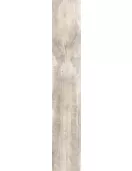 APS3369 Woodmainia Ivory 20x120cm Ivory