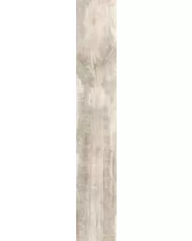 APS3369 Woodmainia Ivory 20x120cm Ivory