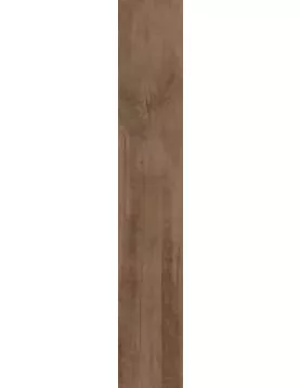 APS3372 Woodmainia Caramel 20x120cm Caramel