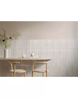 APS54797 Ragno Bianco 6x24cm White