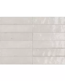 APS54797 Ragno Bianco 6x24cm White