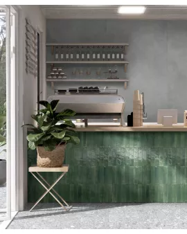 APS54798 Ragno Varde 6x24cm Green