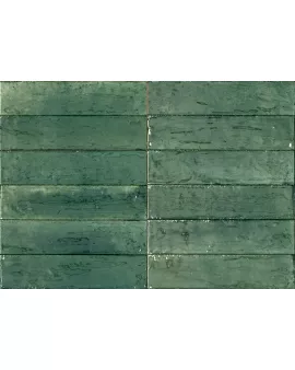 APS54798 Ragno Varde 6x24cm Green