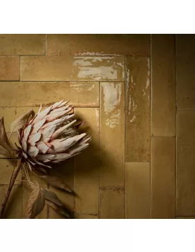 APS54802 Ragno Ocra 6x24cm Orange