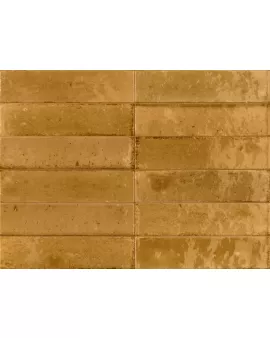 APS54802 Ragno Ocra 6x24cm Orange