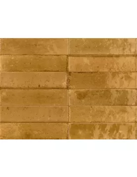 APS54802 Ragno Ocra 6x24cm Orange