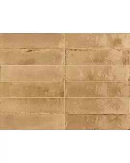 APS54803 Ragno Beige 6x24cm Beige