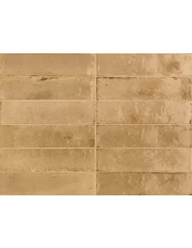 APS54803 Ragno Beige 6x24cm Beige