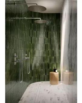 APS54805 Ragno Oliva 6x24cm Green