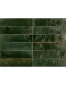 APS54805 Ragno Oliva 6x24cm Green