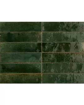 APS54805 Ragno Oliva 6x24cm Green