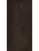 APS8585 Mineral Bronze rt 30x60cm Bronze
