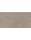 APS8707 Taupe 30x60 Taupe