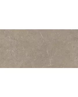 APS8707 Taupe 30x60 Taupe