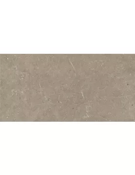 APS8707 Taupe 30x60 Taupe
