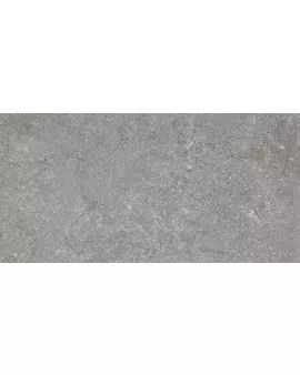APS8708 Realstone Lunar Silver Rt Stone
