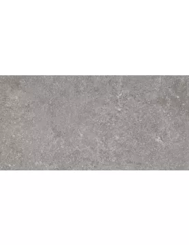 APS8708 Realstone Lunar Silver Rt Stone