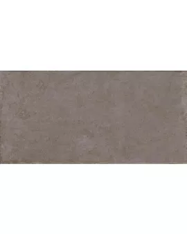 APS8709 Realstone Pietrantica Multicolor 30x60 