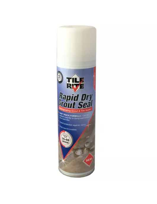 APS9313 RAPID DRY AEROSOL 600ML 