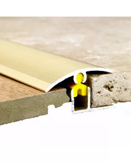 APS9335 900mm DOORWAY STRIP GOLD 